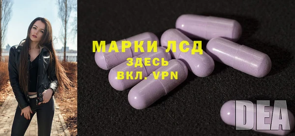 амф Верея